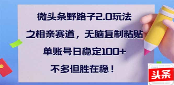 （14334期）微头条野路子2.0玩法之相亲赛道，无脑搬砖复制粘贴，单账号日稳定300+…-云悦网创｜知识付费