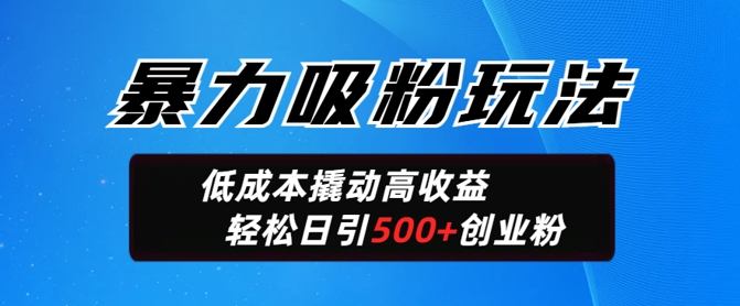 暴力吸粉玩法，日引500+精准创业粉，日变现轻松多张-云悦网创｜知识付费