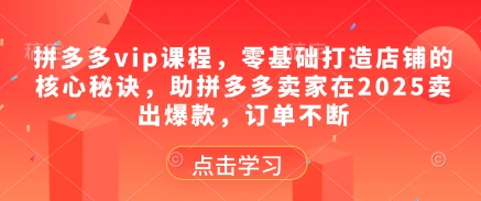 拼多多vip课程，零基础打造店铺的核心秘诀，助拼多多卖家在2025卖出爆款，订单不断-云悦网创｜知识付费