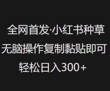 全网首发，小红书种草无脑操作，复制黏贴即可，轻松日入3张-云悦网创｜知识付费