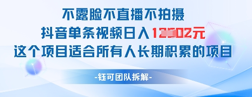 不露脸不直播不拍摄抖音单条视频日入1k+这个项目适合所有人长期积累的项目-云悦网创｜知识付费