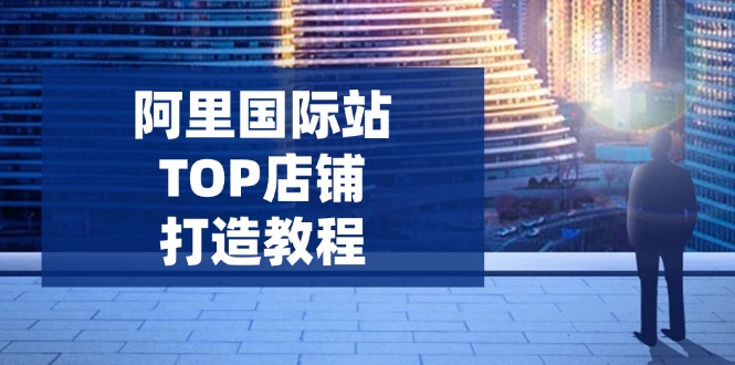 （14269期）阿里国际站TOP店铺打造教程：涵盖平台到高阶，解决运营难题，提升询盘-云悦网创｜知识付费