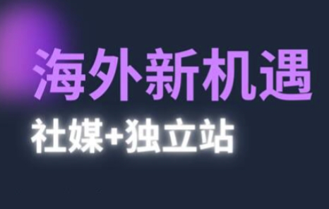 2025出海新机遇(社媒+独立站)，海外新机遇，实现独立站的高效运营与出海-云悦网创｜知识付费