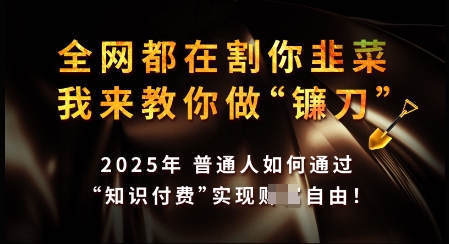 知识付费如何做到月入过W+，2025我来教你做“镰刀”【揭秘】-云悦网创｜知识付费
