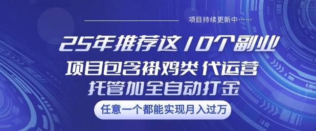 25年推荐这10个副业项目包含褂鸡类、代运营托管类、全自动打金类【揭秘】-云悦网创｜知识付费