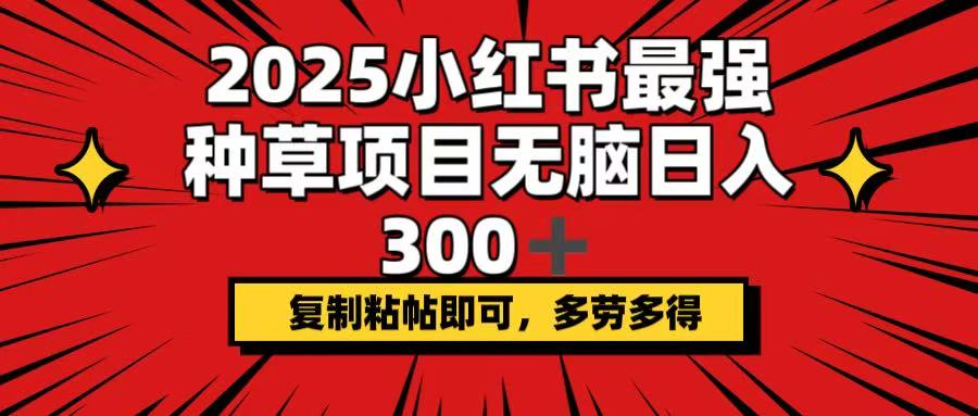 （14375期）2025小红书最强种草项目，无脑日入300+，复制粘帖即可，多劳多得-云悦网创｜知识付费