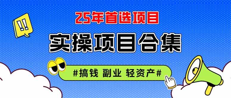 （14767期）2025实操项目合集 挂机类型 直播类型 轻资产创业类型 课程分享各项目介…-云悦网创｜知识付费