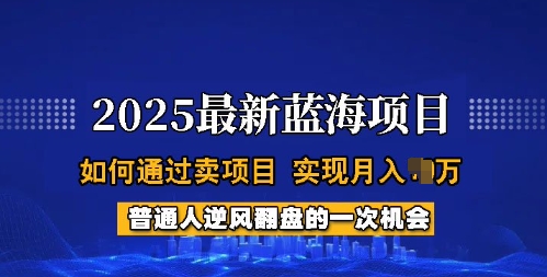 2025蓝海项目，普通人如何通过卖项目，实现月入过W，全过程【揭秘】-云悦网创｜知识付费
