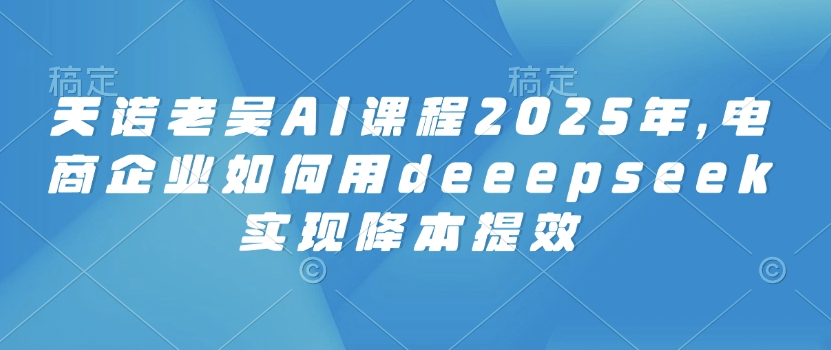 天诺老吴AI课程2025年，电商企业如何用deeepseek实现降本提效-云悦网创｜知识付费