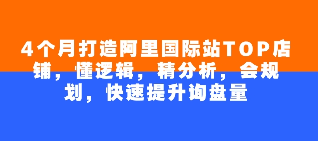 4个月打造阿里国际站TOP店铺，懂逻辑，精分析，会规划，快速提升询盘量-云悦网创｜知识付费