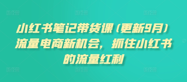 小红书笔记带货课(更新25年4月)流量电商新机会，抓住小红书的流量红利-云悦网创｜知识付费