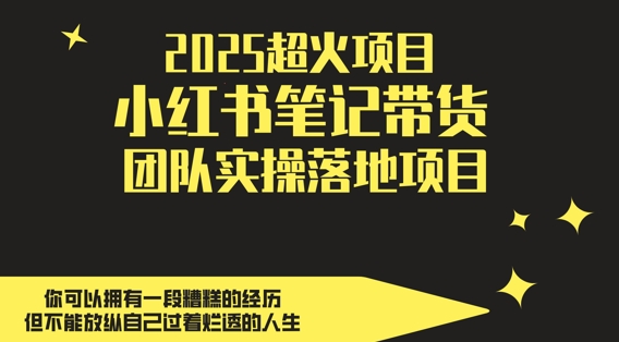 2025超火项目，副业最佳选择，小红书笔记带货团队实操落地项目，，轻松日入5张-云悦网创｜知识付费