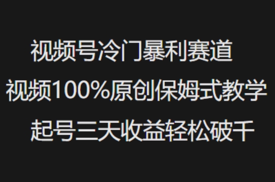 视频号冷门暴利赛道视频100%原创保姆式教学起号三天收益轻松破千-云悦网创｜知识付费