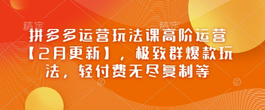 拼多多运营玩法课高阶运营【2月更新】，极致群爆款玩法，轻付费无尽复制等-云悦网创｜知识付费
