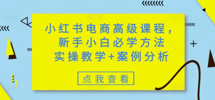 小红书电商高级课程，新手小白必学方法，实操教学+案例分析-云悦网创｜知识付费