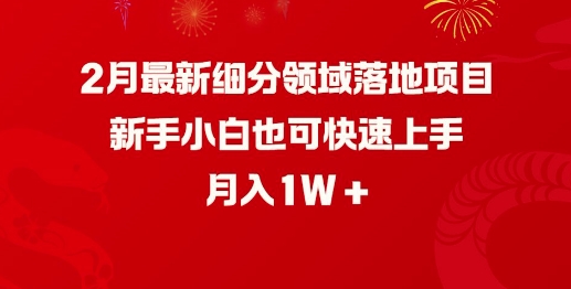 2月最新细分领域落地项目，新手小白也可快速上手，月入1W-云悦网创｜知识付费