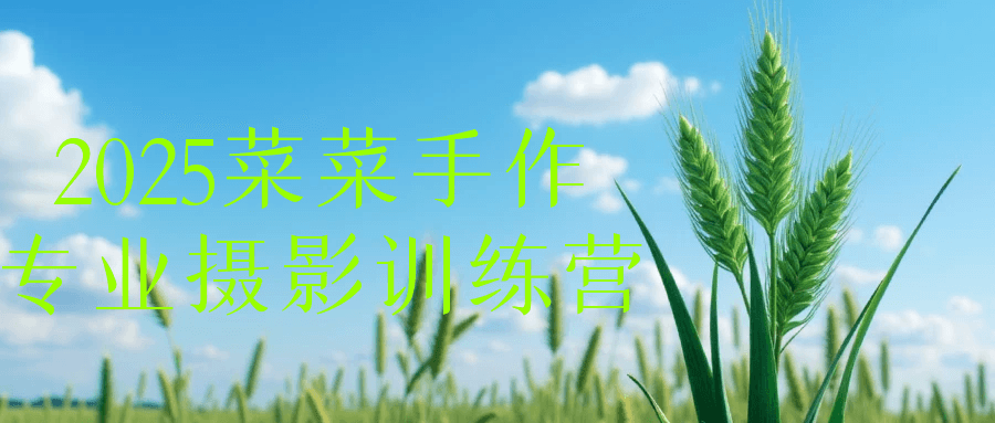 2025菜菜手作专业摄影训练营-云悦网创｜知识付费